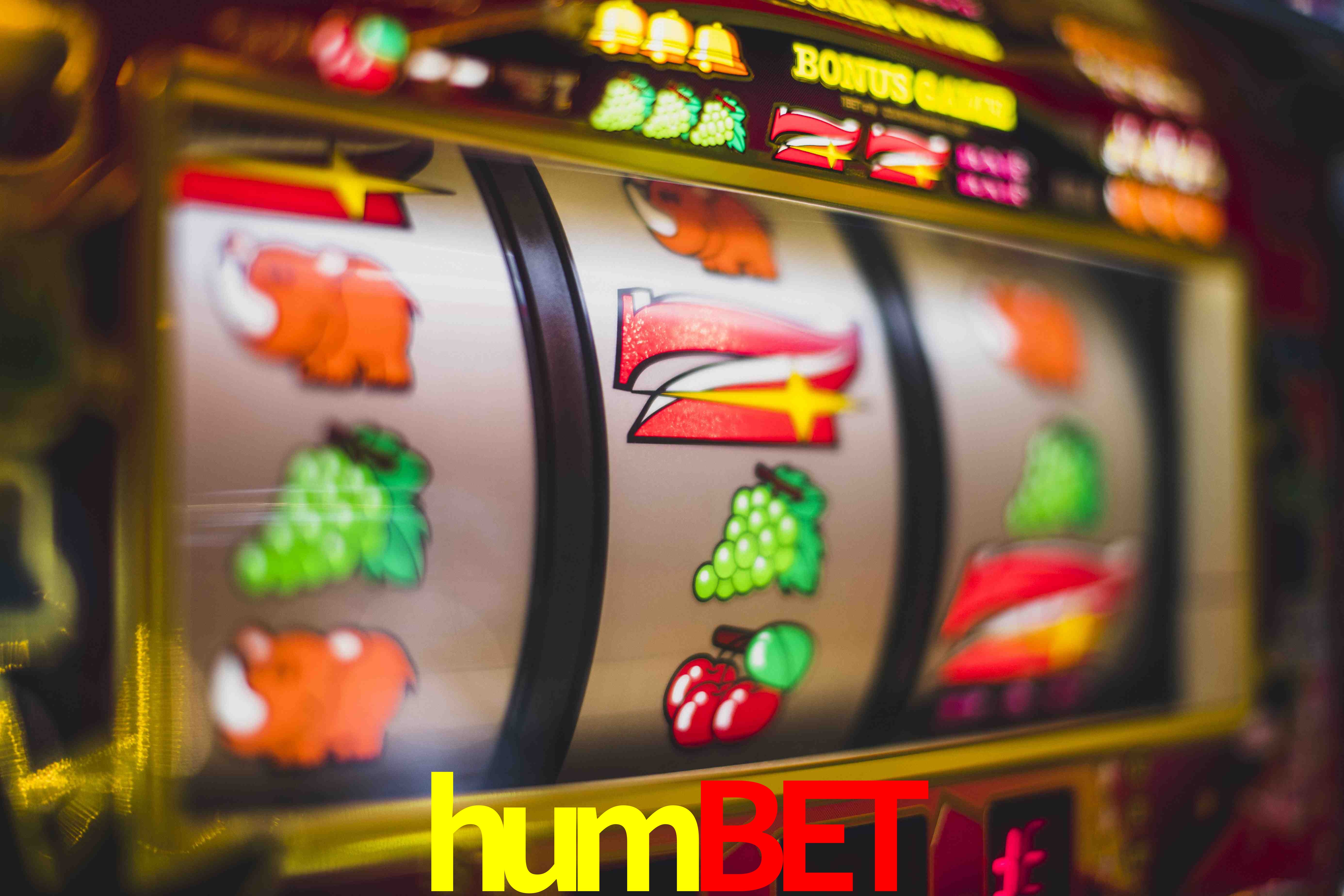 Football Betting humbet